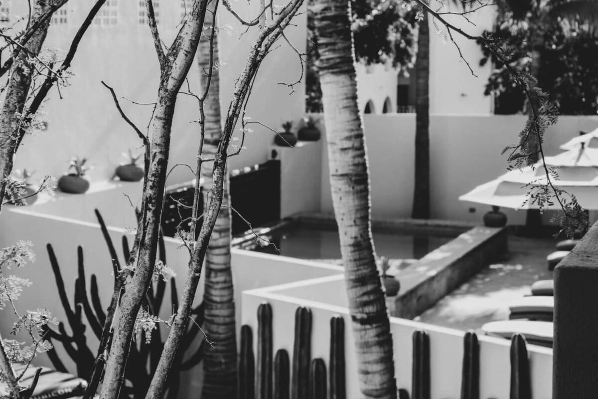 4 Charming Suite King Rooms In Luxurious Boutique Hotel San José del Cabo Exteriör bild